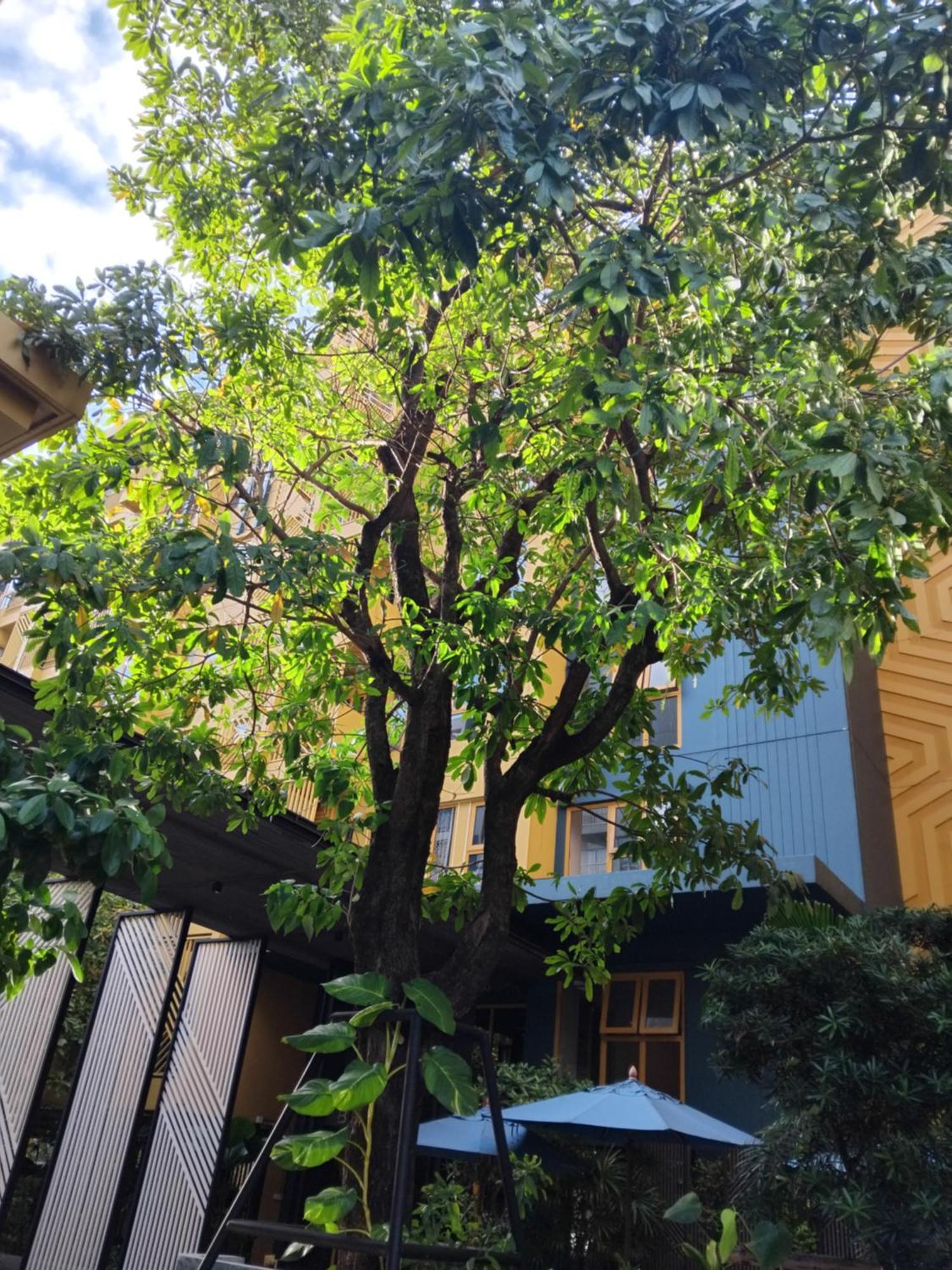Brissluxe At Bts Onnut Sukumvit 50 Apartment Bangkok Bagian luar foto